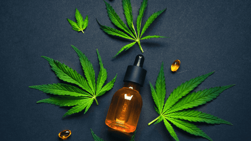 SEG - Cannabis medicinal desponta como alternativa segura ao zolpidem em meio a alerta nacional