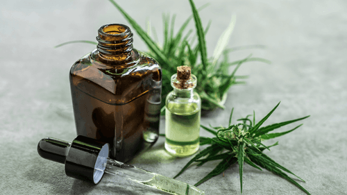 Imagem da noticia: Estudo clínico aponta que cannabidiol pode reduzir a pressão arterial em pacientes hipertensos