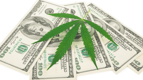 Mudança no status da cannabis nos EUA abre novas oportunidades para negócios