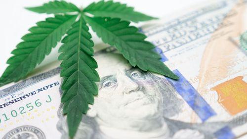 Imagem da noticia: Nova York acelera mercado legal de cannabis com novas licenças e bilhões em vendas
