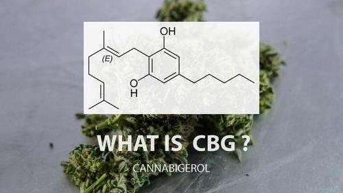 O que a ciência diz sobre o canabigerol (CBG), um composto da cannabis