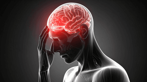 Imagem da noticia: Alzheimer: O segredo da mente sã pode estar na resiliência de “super-idosos” e no potencial da cannabis