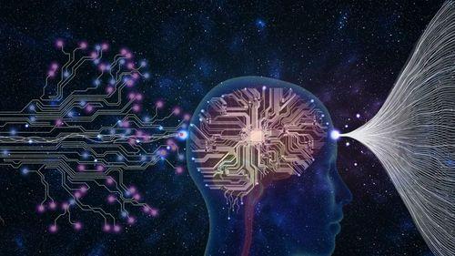 Novo estudo investiga efeitos do CBD na saúde cerebral