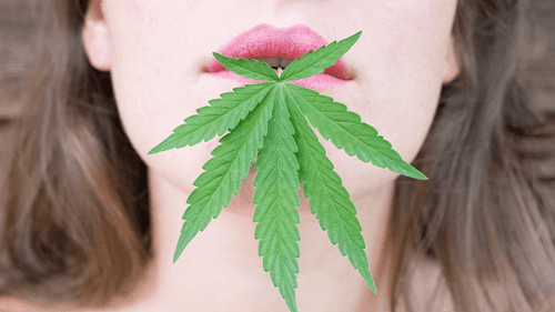 Imagem da noticia: Larica? Veja quais tipos de alimentos a cannabis faz você desejar mais