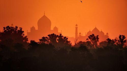 Imagem da noticia: Índia aposta na genética da cannabis para impulsionar mercado medicinal