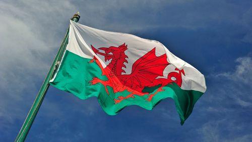 Imagem da noticia: País de Gales avança na proteção de pacientes que utilizam cannabis medicinal