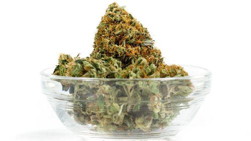 sex - Mais que preço: o papel da comunidade no sucesso do varejo de cannabis