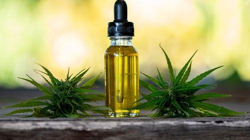 sex - Cannabis medicinal reduz uso de medicamentos prescritos entre pacientes na Alemanha, aponta pesquisa