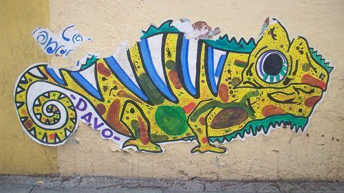 Psicodélicos e cannabis: pesquisadora analisa nova fronteira da ciência