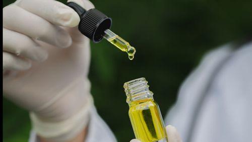 Pesquisa clínica avalia cannabis no Alzheimer em Jundiaí