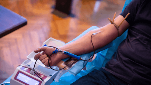 Imagem da noticia: Posso doar sangue usando cannabis medicinal?