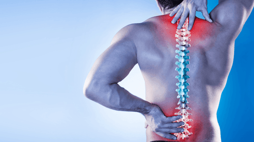 QUI - Cannabis medicinal apresenta resultados positivos contra dor lombar crônica