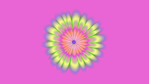 Psilocibina reorganiza redes corticais de grande escala no cérebro, revela estudo inovador