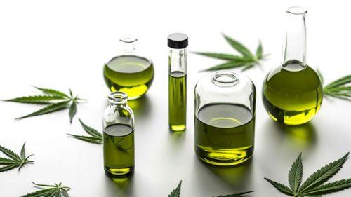 Imagem da noticia: EFSA fixa dose provisória de CBD em 2 mg por dia e mantém alertas de segurança