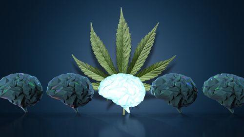 Cannabis na juventude: o que a ciência diz sobre o uso recreativo em adolescentes e jovens adultos