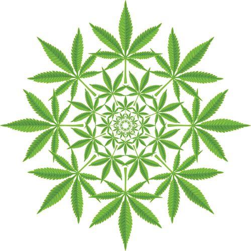 Imagem da noticia: Can Cannabis Induce a Psychedelic State? Learn What Researchers Discovered