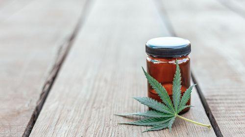 Imagem da noticia: Proposta de restrição na importação de Cannabis (RDC 660) gera reação no mercado