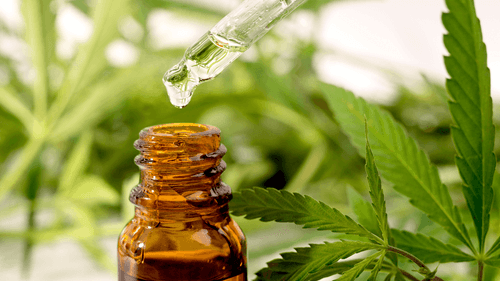 Cannabis medicinal volta ao debate no Tennessee com possível reclassificação